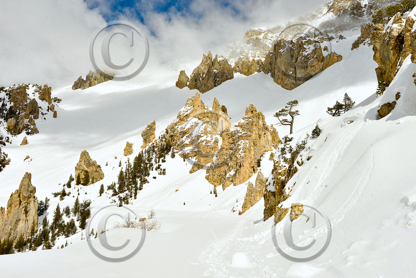 fev_0741-copie.jpg