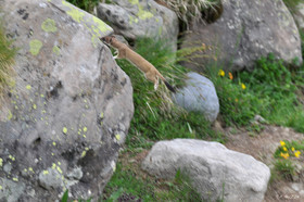 MISE A  JOUR  en cours