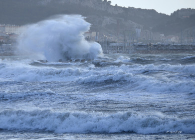 TEMPETE ZEUS MARSEILLE ,PLAGE DU PRADO,WINDSURF, PLANCHE À  VOILE
