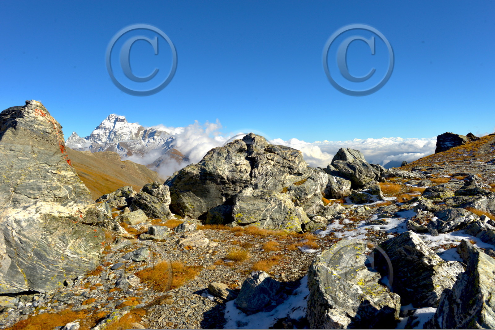 DANS LE QUEYRAS