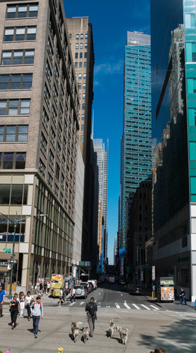 new york 2019