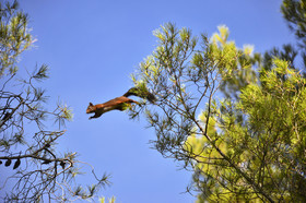 MISE A  JOUR  en cours