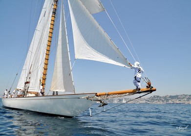 phocean-50x70-voile-dans-la-rade-guzik-copie.jpg