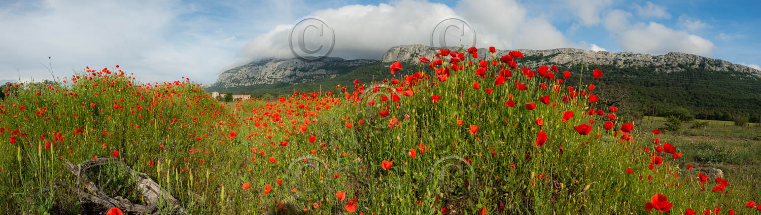 SAINTE BAUME
