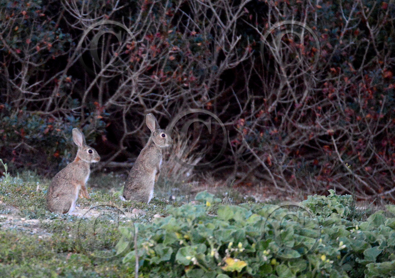 dsc_5840.jpg