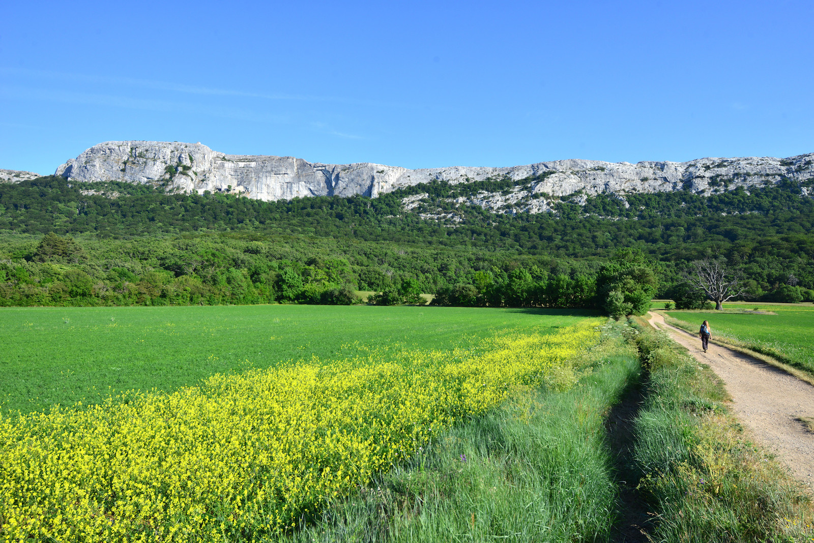 SAINTE BAUME