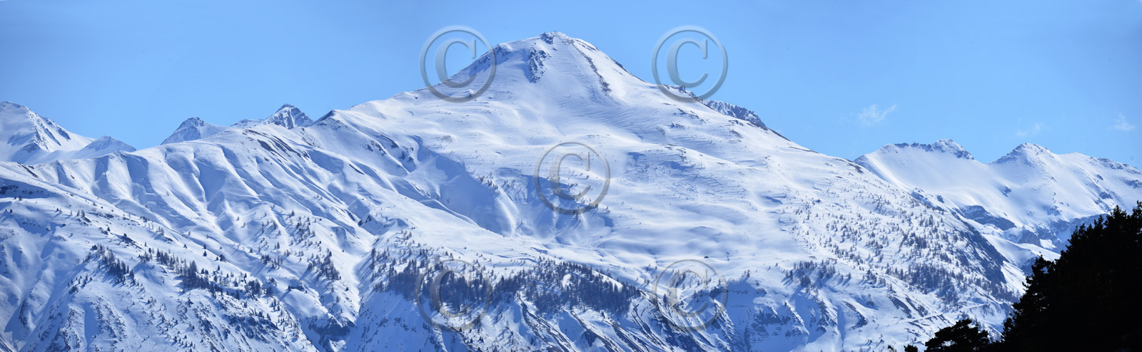 vvvpanorama-sans-titre1.jpg