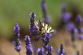 MISE A  JOUR  en cours