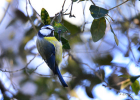 MISE A  JOUR  en cours