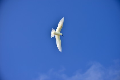 photo du jour