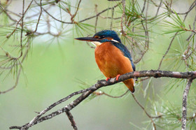 MISE A  JOUR  en cours