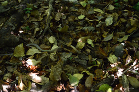 MISE A  JOUR  en cours