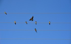 MISE A  JOUR  en cours