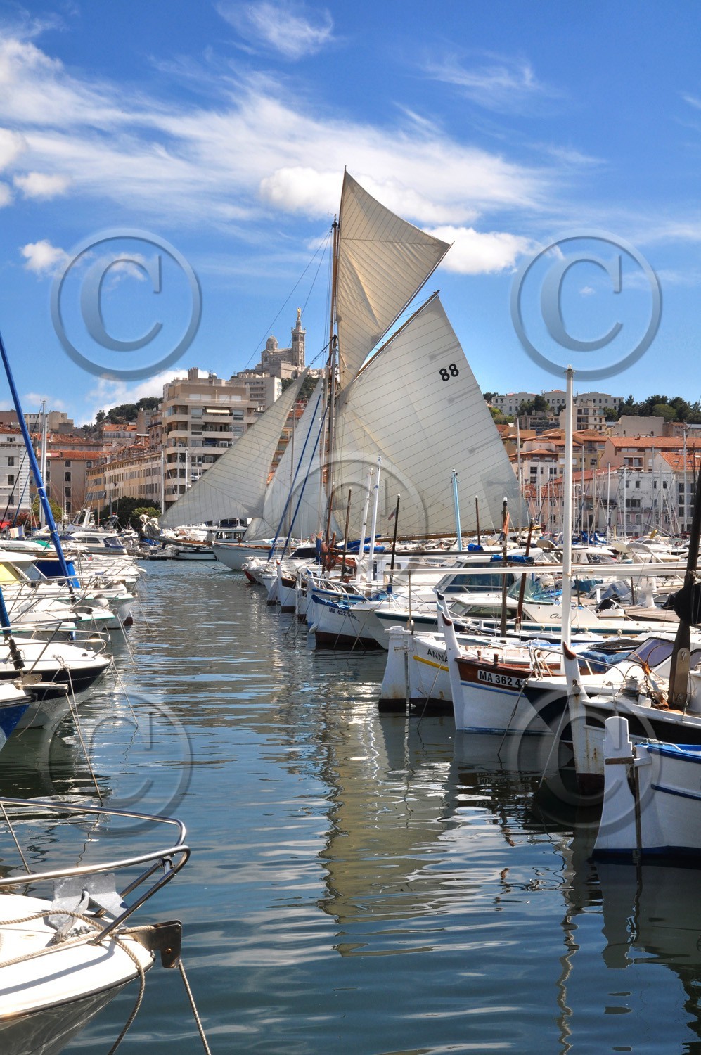 voille-dsc_0655.jpg