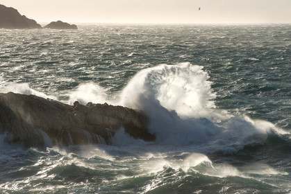 mistral 9 janvier