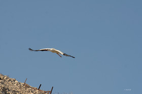 MISE A  JOUR  en cours