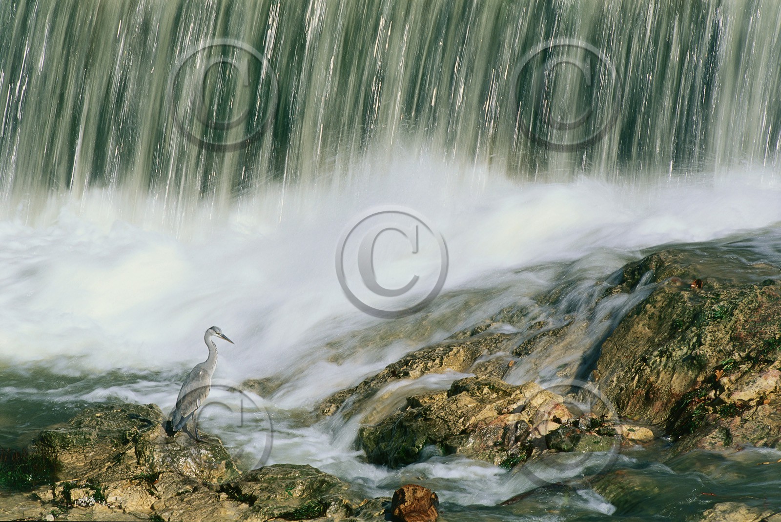 Photo de la sainte baume