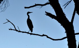 MISE A  JOUR  en cours