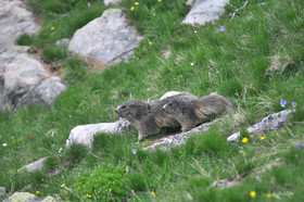 MISE A  JOUR  en cours