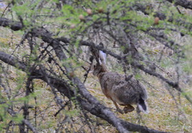 alpes de haute provence