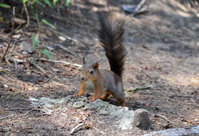 MISE A  JOUR  en cours