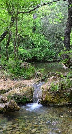 Photo de la sainte baume