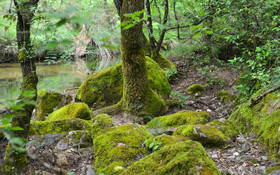 Photo de la sainte baume