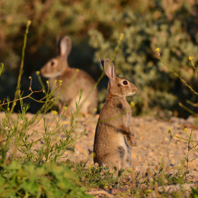 MISE A  JOUR  en cours