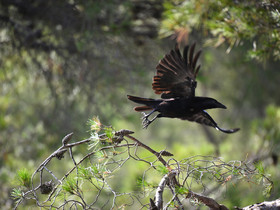 MISE A  JOUR  en cours