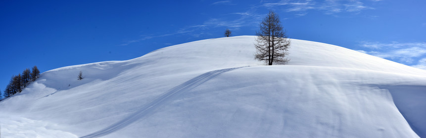 montagne haute alpes ,queyras, mercantour,alpes de haute provence,alpes maritime