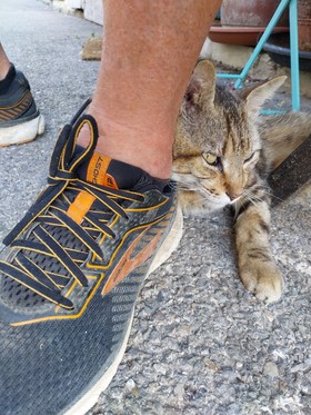MARCHÉ D'ÉTÉ SUR LA CANEBIÉRE  2024