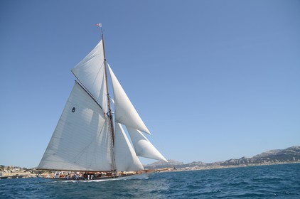 voile-vp-2012-2313.jpg