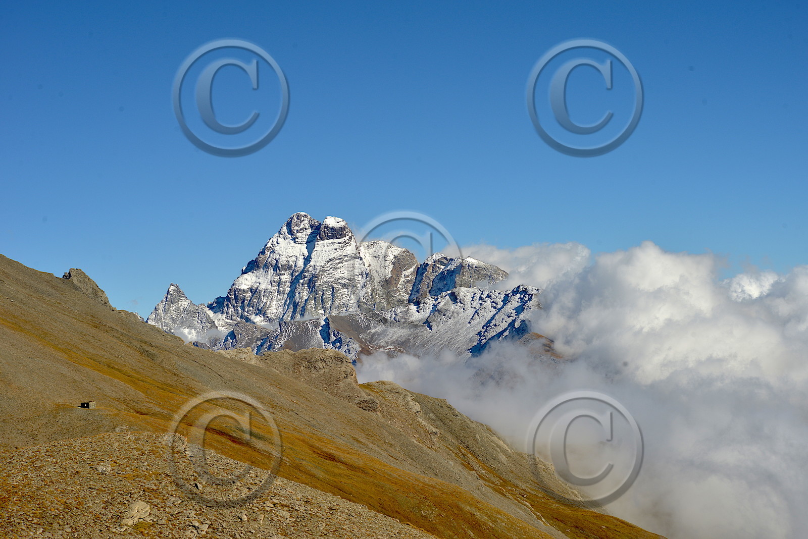 DANS LE QUEYRAS