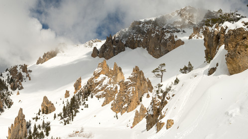 fev_0708-panorama.jpg