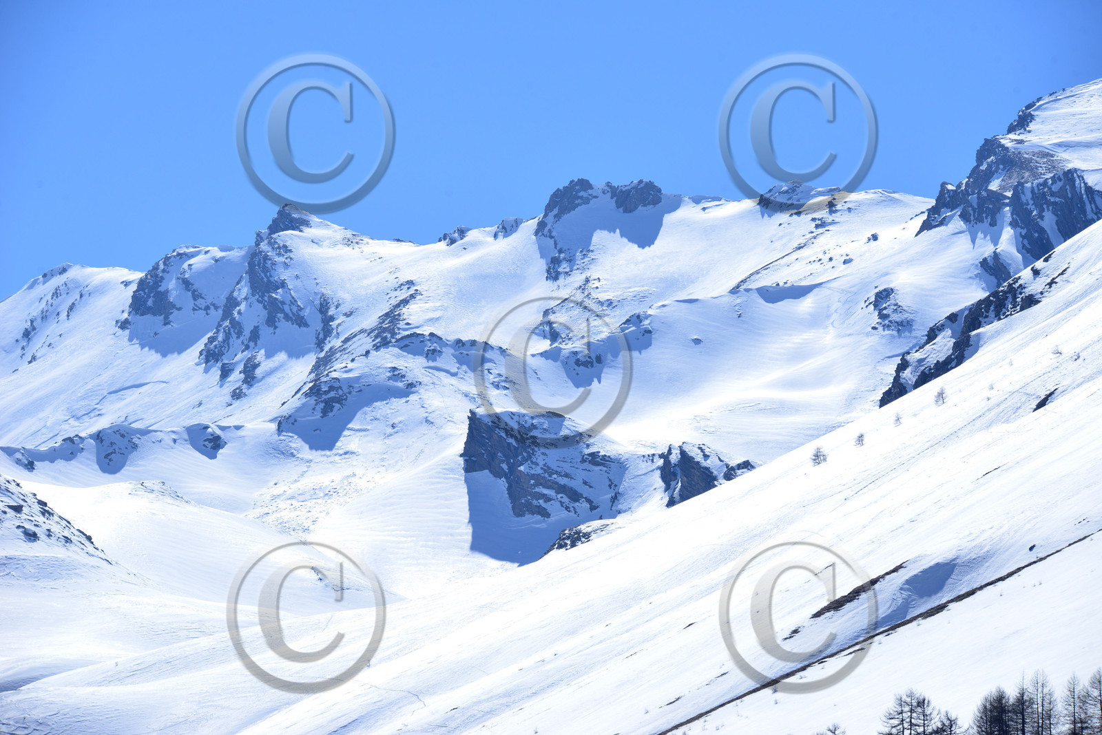 haute-alpes-de-provence-bouquetin-447.jpg
