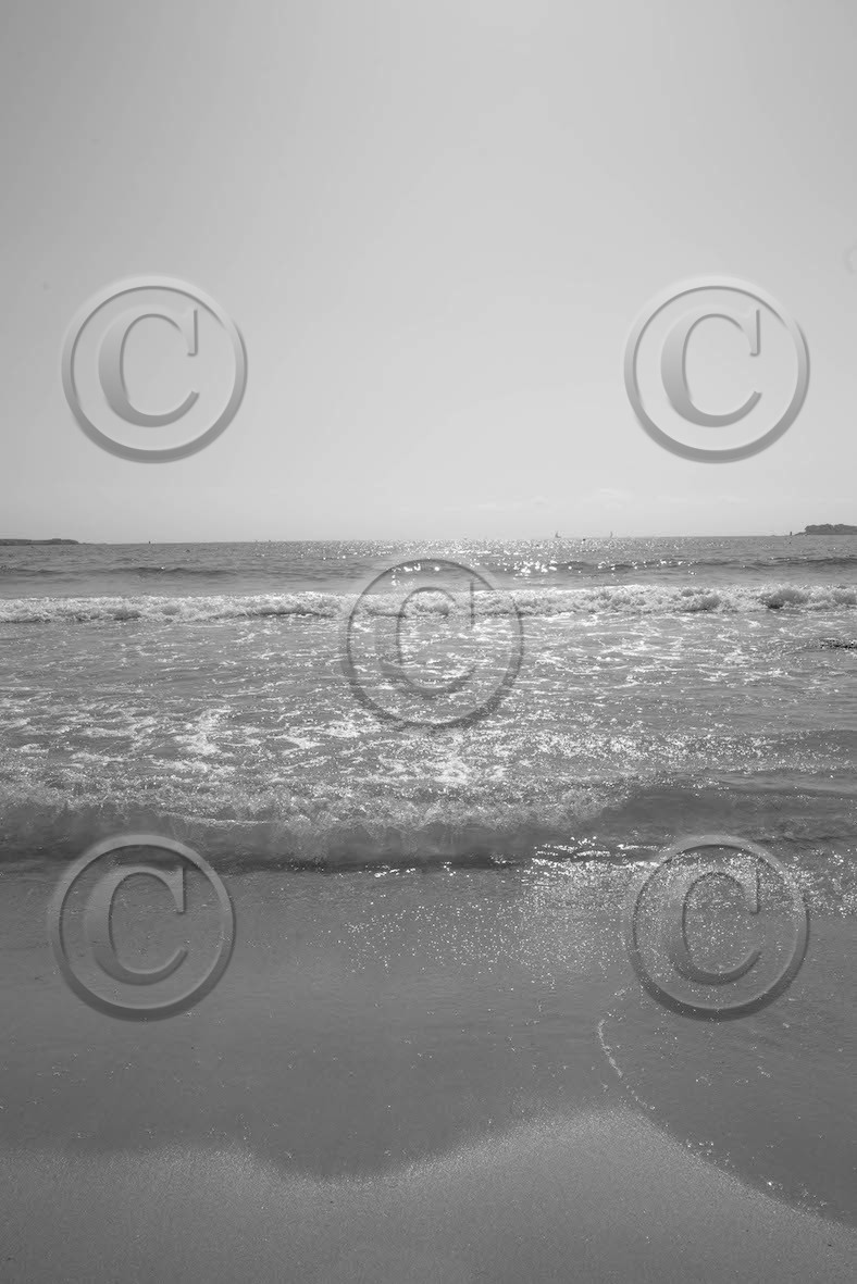 ven_9437-2-copie.jpg