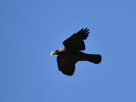 MISE A  JOUR  en cours