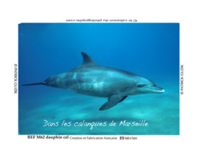 REF M62-Dauphin calanques.  8054.psd