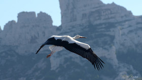 MISE A  JOUR  en cours