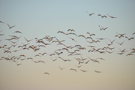 MISE A  JOUR  en cours