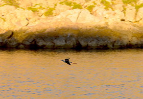 quelques part dans les calanques