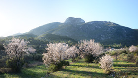 Photo de la sainte baume