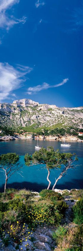 Selection format 20X60 cm