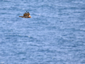 MISE A  JOUR  en cours