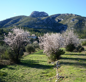 Photo de la sainte baume