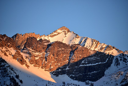 haute-alpes-de-provence-bouquetin-285-2.jpg