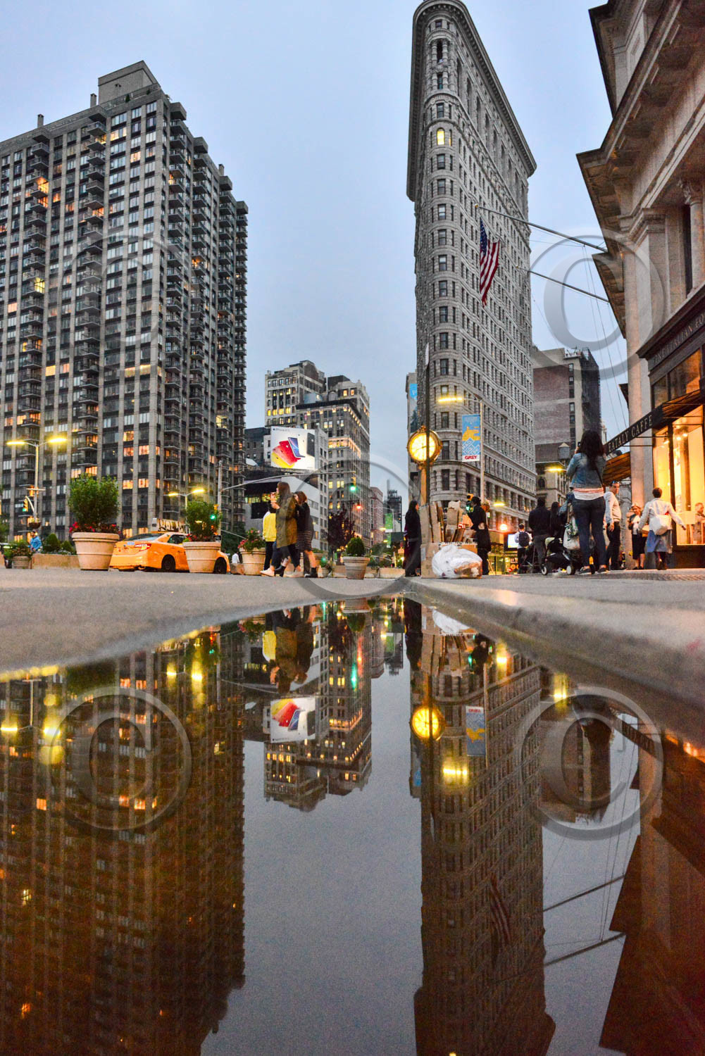 new york 2019