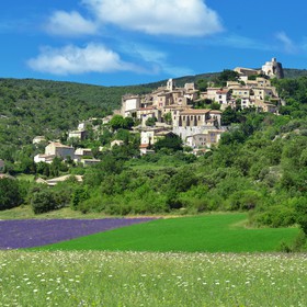 lavande-banon-simiade-454-copie.jpg