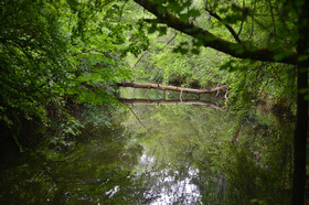 Photo de la sainte baume