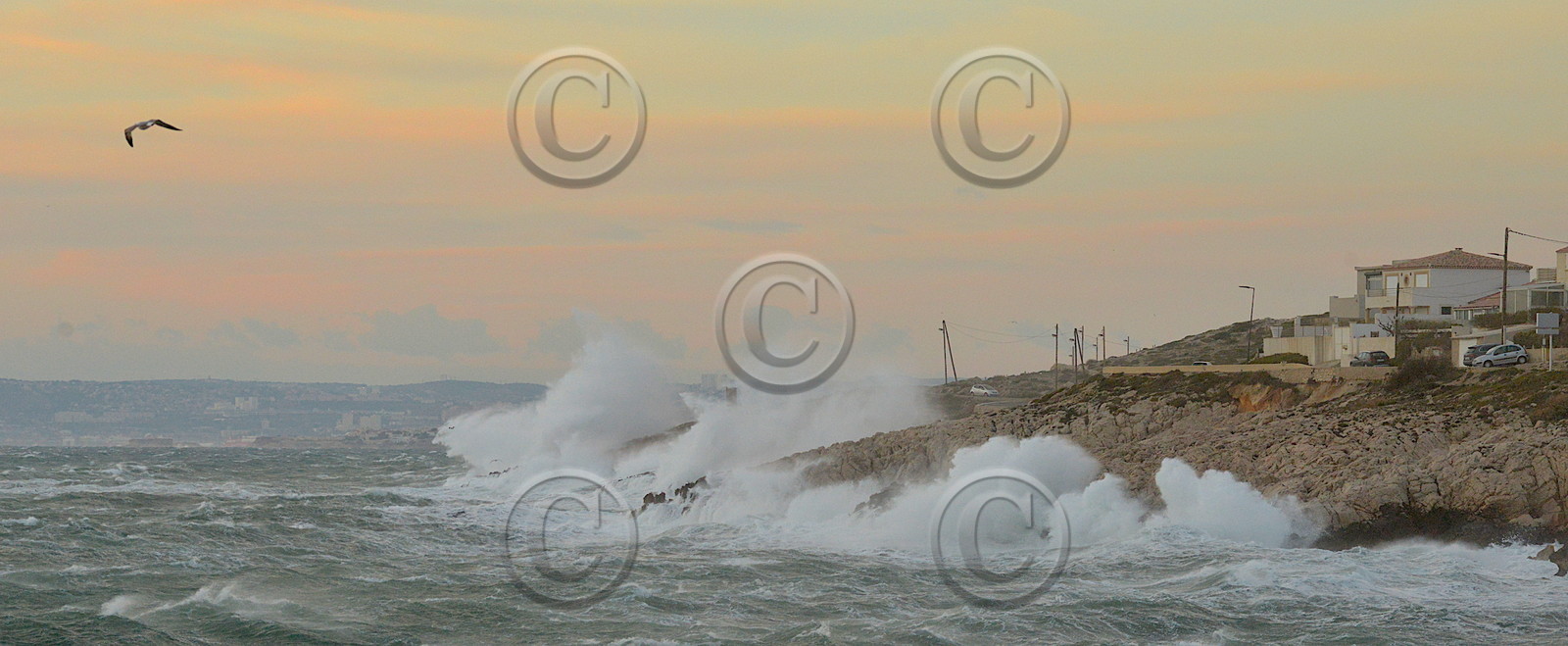 site-fev_3985-copie-2.jpg